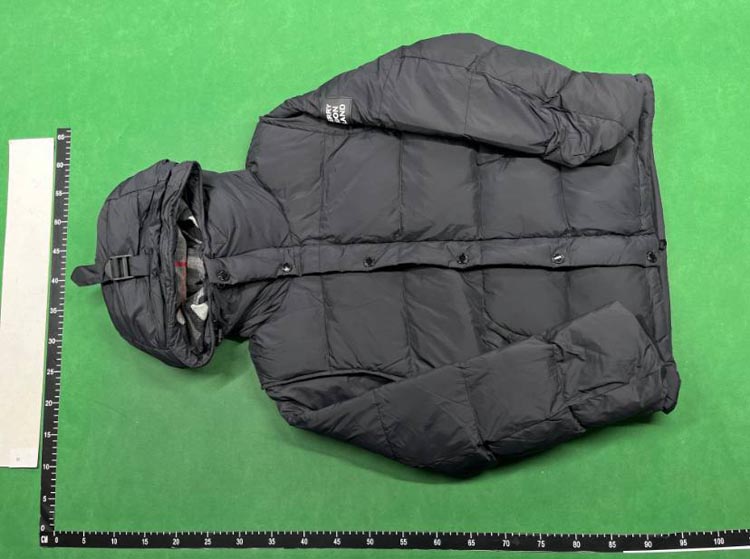 Zdjęcie QC 2 z 4 — The North Face x Gucci Collaborative Puffer Jackets