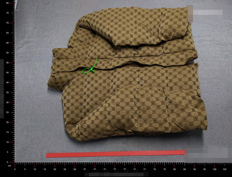 Zdjęcie QC 1 z 2 — Gucci GG Supreme Puffer Jacket