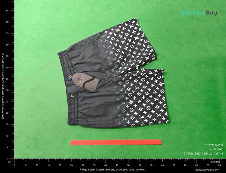 Zdjęcie QC 2 z 4 — Louis Vuitton Monogram Print Swim Shorts