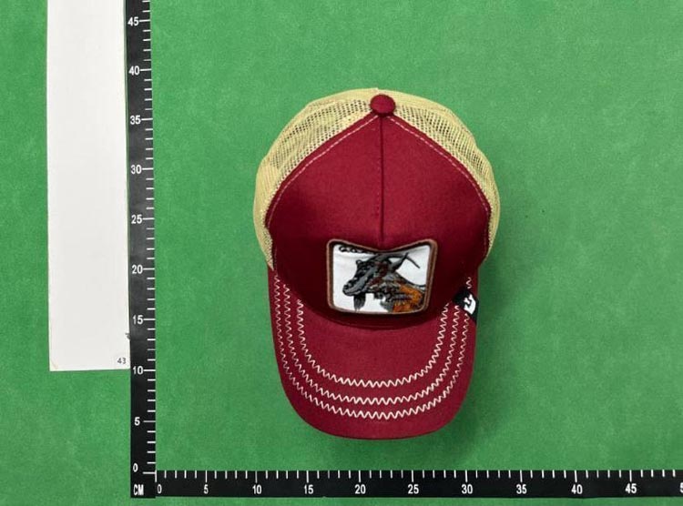 Zdjęcie QC 2 z 4 — Goorin Bros. Animal Patch Trucker Hats
