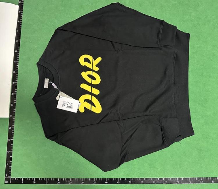 Zdjęcie QC 4 z 4 — Dior Oblique Logo Embroidered Sweatshirts [14 styles]