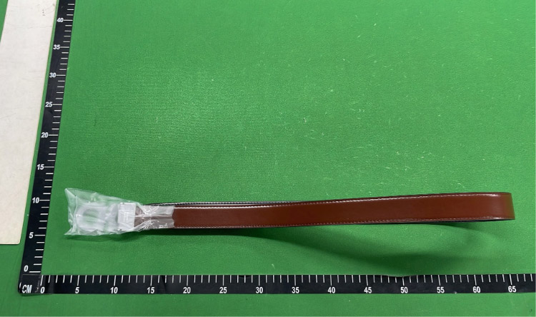 Zdjęcie QC 4 z 6 — Salvatore Ferragamo Gancini Belt [16 styles]