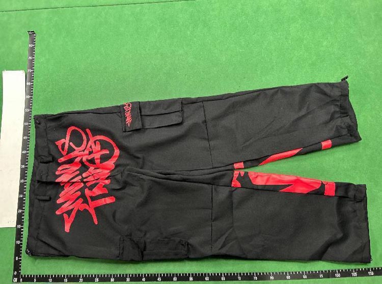 Zdjęcie QC 1 z 4 — SMINDUS TRIO Cargo Pants & Leg Cover Sets [17 styles]