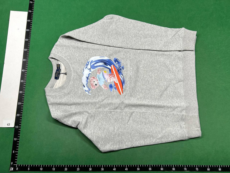 Zdjęcie QC 2 z 3 — Polo Ralph Lauren Polo Bear Graphic Sweatshirt [30 styles]