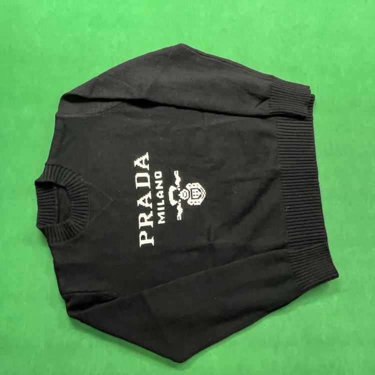 Zdjęcie QC 1 z 1 — Prada Re-Nylon Sweatshirt [17 styles]