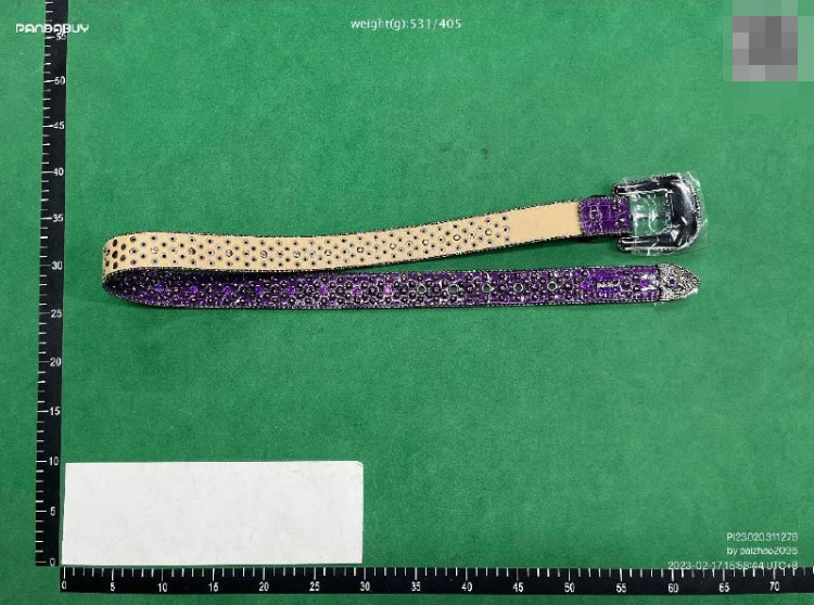 Zdjęcie QC 2 z 3 — B.B. Simon Crystal-Embellished Western Belt [9 styles]