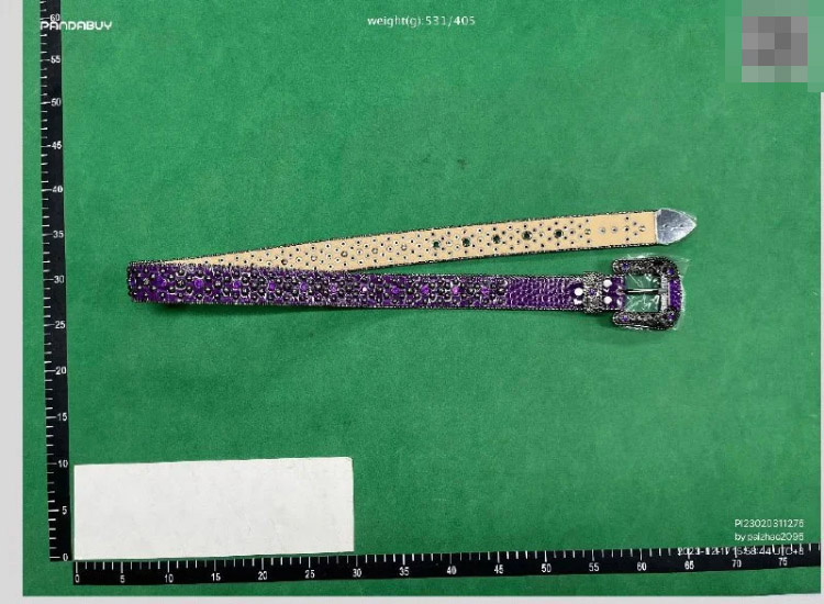 Zdjęcie QC 1 z 3 — B.B. Simon Crystal-Embellished Western Belt [9 styles]