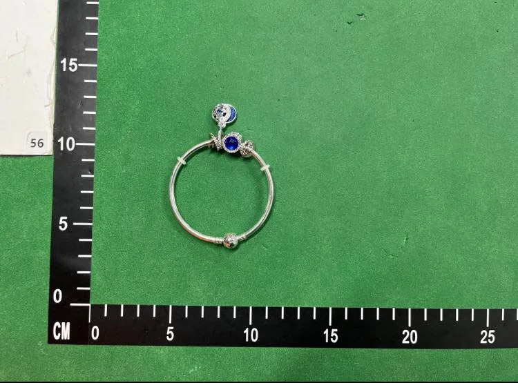 Zdjęcie QC 2 z 3 — Pandora Moments Snake Chain Bracelet with Charms [40 styles]