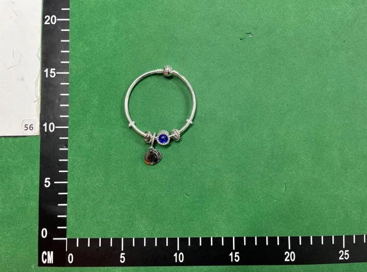 Zdjęcie QC 1 z 3 — Pandora Moments Snake Chain Bracelet with Charms [40 styles]