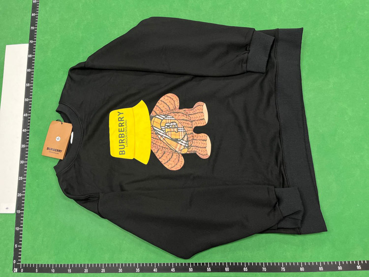 Zdjęcie QC 3 z 4 — Burberry Equestrian Knight Embroidered Sweatshirt [20 styles]