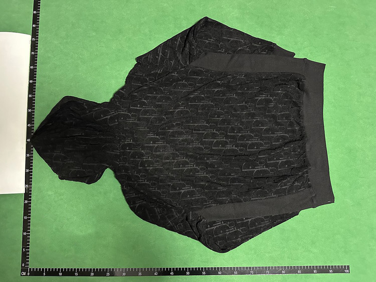 Zdjęcie QC 3 z 4 — Celine Triomphe Hoodie [5 styles]