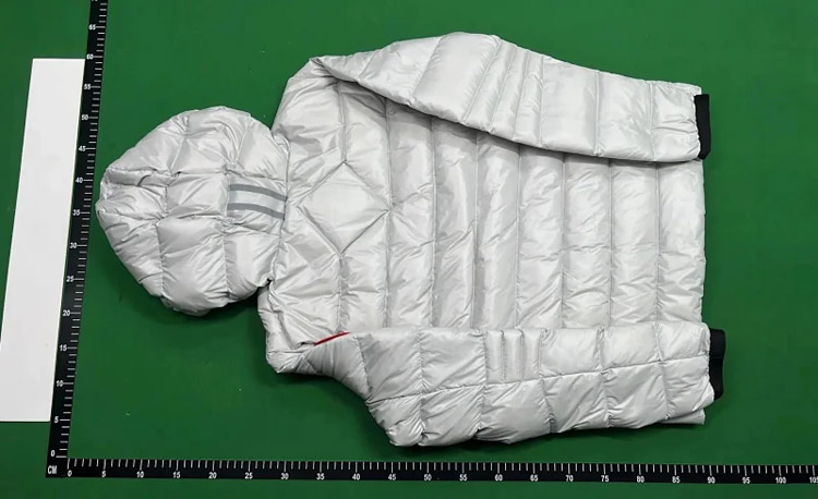 Zdjęcie QC 1 z 4 — Canada Goose Down Jacket [6 styles]