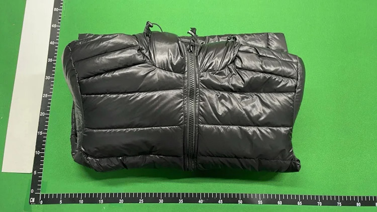Zdjęcie QC 3 z 4 — Canada Goose Down Jacket [6 styles]