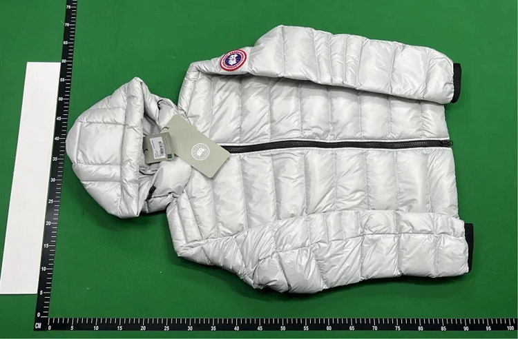 Zdjęcie QC 4 z 4 — Canada Goose Down Jacket [6 styles]