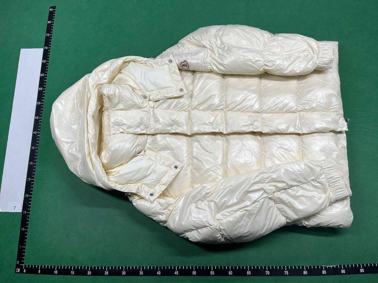 Zdjęcie QC 2 z 4 — Designer Puffer Jackets (Dior, Moncler, Louis Vuitton, The North Face, Ralph Lauren) [31 styles]