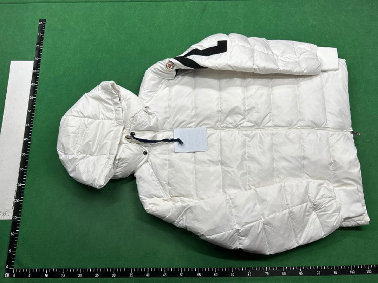 Zdjęcie QC 4 z 4 — Designer Puffer Jackets (Dior, Moncler, Louis Vuitton, The North Face, Ralph Lauren) [31 styles]