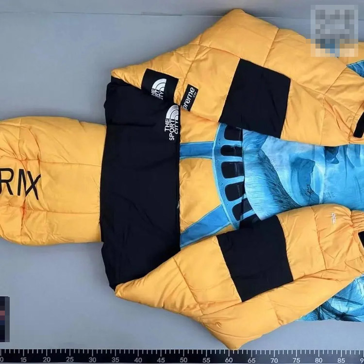 Zdjęcie QC 2 z 4 — The North Face x Supreme Statue of Liberty Puffer Jacket [3 styles]