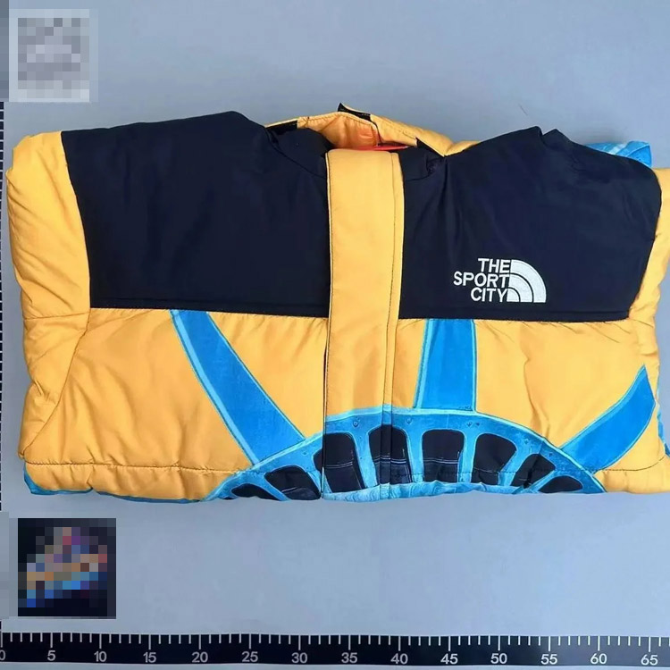 Zdjęcie QC 4 z 4 — The North Face x Supreme Statue of Liberty Puffer Jacket [3 styles]