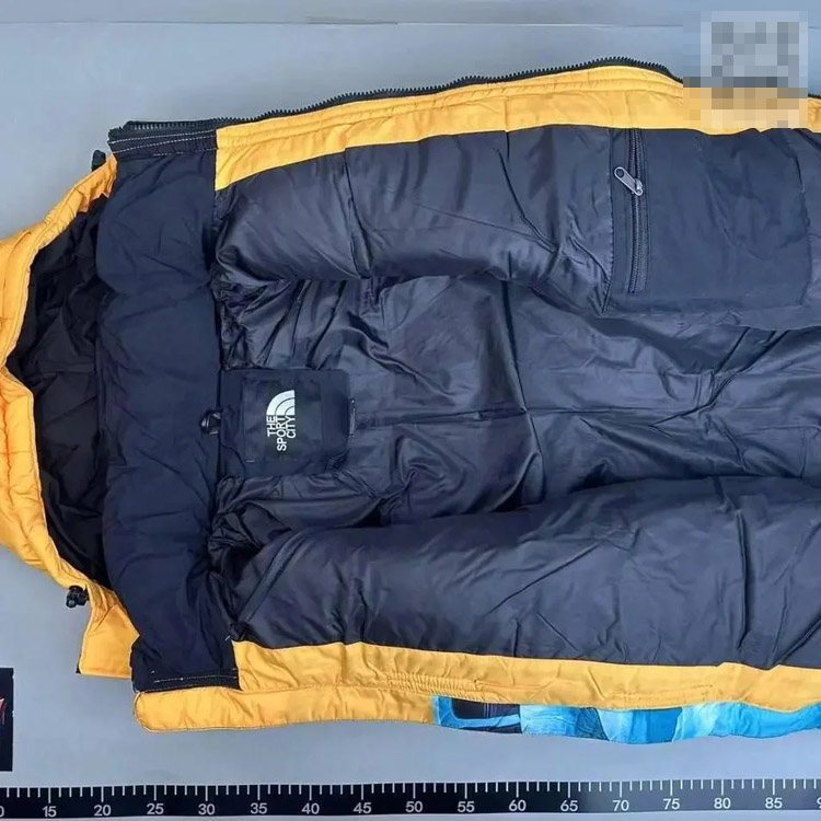 Zdjęcie QC 3 z 4 — The North Face x Supreme Statue of Liberty Puffer Jacket [3 styles]