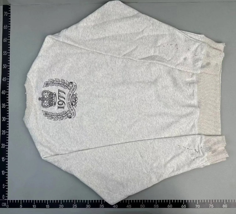 Zdjęcie QC 1 z 3 — Saint Aries Graphic Sweatshirts [5 styles]