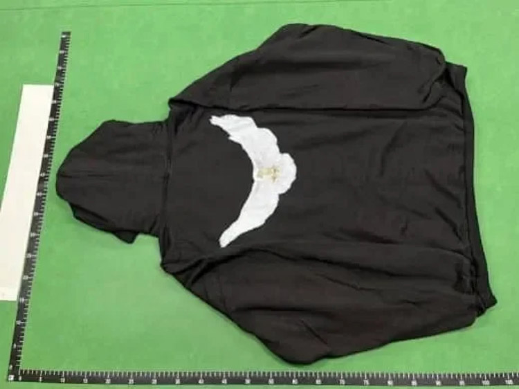 Zdjęcie QC 2 z 2 — Winged Dove Hoodie